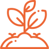 plant plant